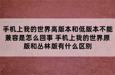 手机上我的世界高版本和低版本不能兼容是怎么回事 手机上我的世界原版和丛林版有什么区别